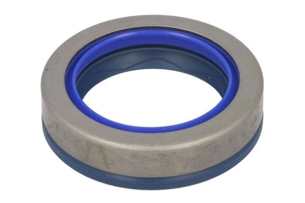 Gasket, differential
