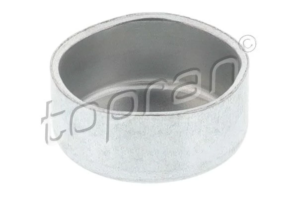 Frost Plug