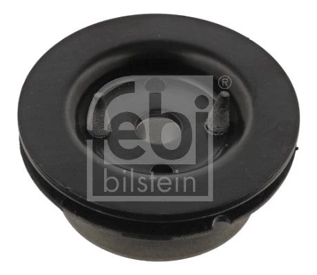 Mounting, transfer case