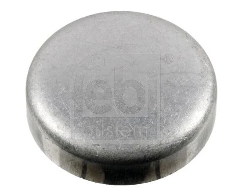 Frost Plug