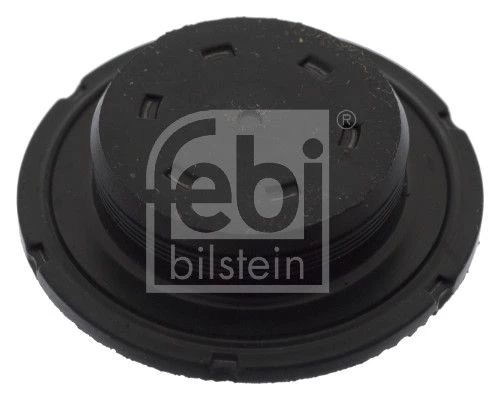 Frost Plug