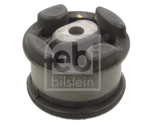 Mounting, transfer case