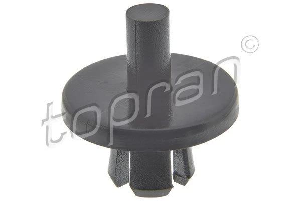 Expanding Rivet
