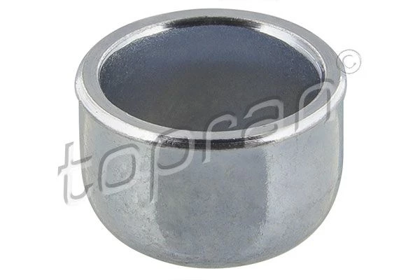 Frost Plug