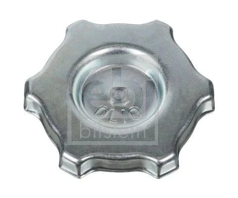 Cap, oil filler neck
