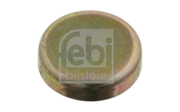 Frost Plug