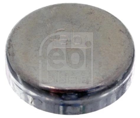 Frost Plug