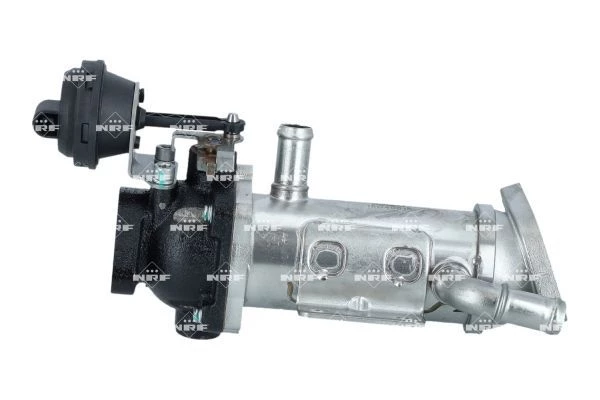 Cooler, exhaust gas recirculation